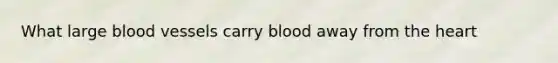 What large <a href='https://www.questionai.com/knowledge/kZJ3mNKN7P-blood-vessels' class='anchor-knowledge'>blood vessels</a> carry blood away from <a href='https://www.questionai.com/knowledge/kya8ocqc6o-the-heart' class='anchor-knowledge'>the heart</a>