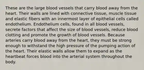 These are the large blood vessels that carry blood away from the heart. Their walls are lined with connective tissue, muscle tissue and elastic fibers with an innermost layer of epithelial cells called endothelium. Endothelium cells, found in all blood vessels, secrete factors that affect the size of blood vessels, reduce blood clotting and promote the growth of blood vessels. Because arteries carry blood away from the heart, they must be strong enough to withstand the high pressure of the pumping action of the heart. Their elastic walls allow them to expand as the heartbeat forces blood into the arterial system throughout the body.