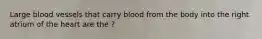 Large blood vessels that carry blood from the body into the right atrium of the heart are the ?