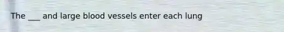 The ___ and large blood vessels enter each lung