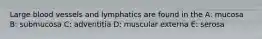 Large blood vessels and lymphatics are found in the A: mucosa B: submucosa C: adventitia D: muscular externa E: serosa