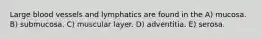 Large blood vessels and lymphatics are found in the A) mucosa. B) submucosa. C) muscular layer. D) adventitia. E) serosa.