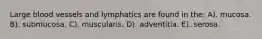 Large blood vessels and lymphatics are found in the: A). mucosa. B). submucosa. C). muscularis. D). adventitia. E). serosa.
