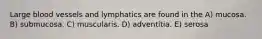 Large blood vessels and lymphatics are found in the A) mucosa. B) submucosa. C) muscularis. D) adventitia. E) serosa