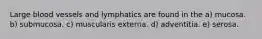 Large blood vessels and lymphatics are found in the a) mucosa. b) submucosa. c) muscularis externa. d) adventitia. e) serosa.