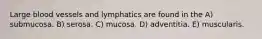 Large blood vessels and lymphatics are found in the A) submucosa. B) serosa. C) mucosa. D) adventitia. E) muscularis.