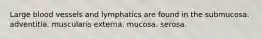 Large blood vessels and lymphatics are found in the submucosa. adventitia. muscularis externa. mucosa. serosa.