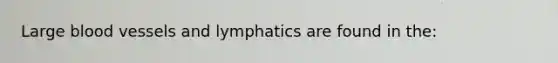 Large blood vessels and lymphatics are found in the: