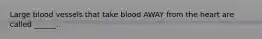 Large blood vessels that take blood AWAY from the heart are called ______.