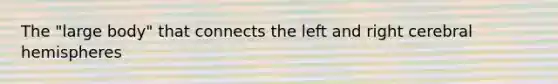 The "large body" that connects the left and right cerebral hemispheres