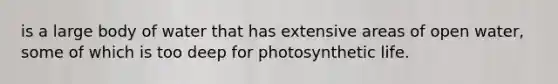 is a large body of water that has extensive areas of open water, some of which is too deep for photosynthetic life.
