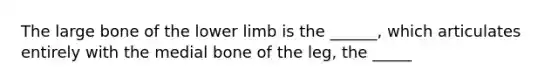 The large bone of the lower limb is the ______, which articulates entirely with the medial bone of the leg, the _____