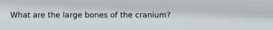 What are the large bones of the cranium?