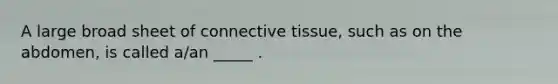 A large broad sheet of connective tissue, such as on the abdomen, is called a/an _____ .