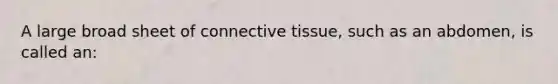 A large broad sheet of connective tissue, such as an abdomen, is called an: