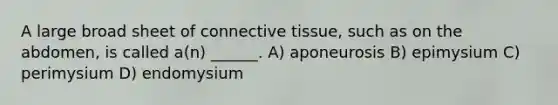 A large broad sheet of connective tissue, such as on the abdomen, is called a(n) ______. A) aponeurosis B) epimysium C) perimysium D) endomysium