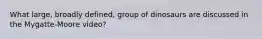 What large, broadly defined, group of dinosaurs are discussed in the Mygatte-Moore video?