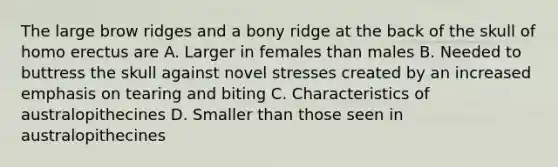 The large brow ridges and a bony ridge at the back of the skull of homo erectus are A. Larger in females than males B. Needed to buttress the skull against novel stresses created by an increased emphasis on tearing and biting C. Characteristics of australopithecines D. Smaller than those seen in australopithecines
