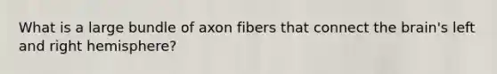 What is a large bundle of axon fibers that connect the brain's left and right hemisphere?