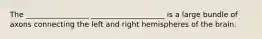 The _________________ ____________________ is a large bundle of axons connecting the left and right hemispheres of the brain.