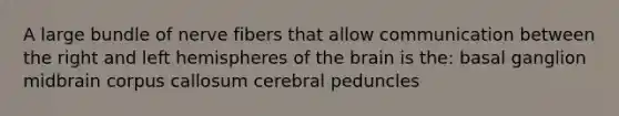 A large bundle of nerve fibers that allow communication between the right and left hemispheres of <a href='https://www.questionai.com/knowledge/kLMtJeqKp6-the-brain' class='anchor-knowledge'>the brain</a> is the: basal ganglion midbrain corpus callosum cerebral peduncles