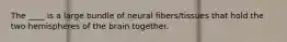 The ____ is a large bundle of neural fibers/tissues that hold the two hemispheres of the brain together.