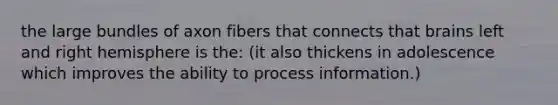 the large bundles of axon fibers that connects that brains left and right hemisphere is the: (it also thickens in adolescence which improves the ability to process information.)