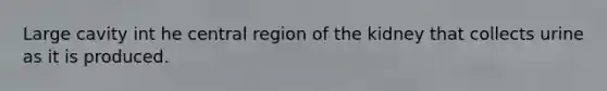 Large cavity int he central region of the kidney that collects urine as it is produced.