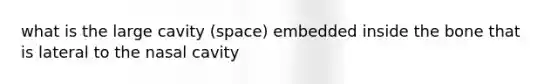 what is the large cavity (space) embedded inside the bone that is lateral to the nasal cavity