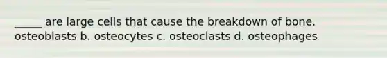 _____ are large cells that cause the breakdown of bone. osteoblasts b. osteocytes c. osteoclasts d. osteophages