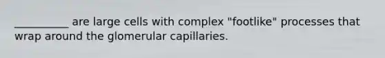 __________ are large cells with complex "footlike" processes that wrap around the glomerular capillaries.