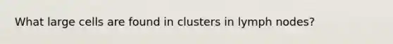 What large cells are found in clusters in lymph nodes?