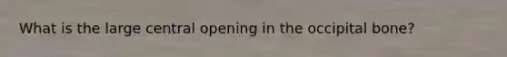What is the large central opening in the occipital bone?