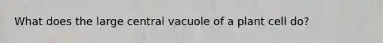 What does the large central vacuole of a plant cell do?