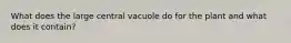 What does the large central vacuole do for the plant and what does it contain?