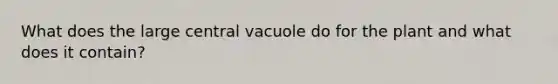 What does the large central vacuole do for the plant and what does it contain?