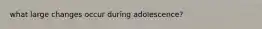 what large changes occur during adolescence?