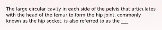 The large circular cavity in each side of the pelvis that articulates with the head of the femur to form the hip joint, commonly known as the hip socket, is also referred to as the ___