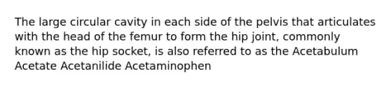 The large circular cavity in each side of the pelvis that articulates with the head of the femur to form the hip joint, commonly known as the hip socket, is also referred to as the Acetabulum Acetate Acetanilide Acetaminophen