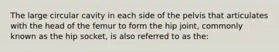 The large circular cavity in each side of the pelvis that articulates with the head of the femur to form the hip joint, commonly known as the hip socket, is also referred to as the: