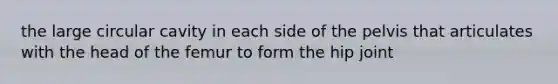 the large circular cavity in each side of the pelvis that articulates with the head of the femur to form the hip joint