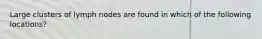 Large clusters of lymph nodes are found in which of the following locations?