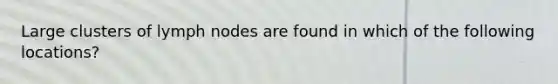 Large clusters of lymph nodes are found in which of the following locations?