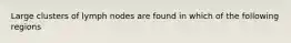 Large clusters of lymph nodes are found in which of the following regions
