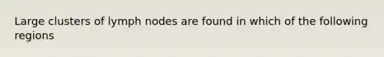 Large clusters of lymph nodes are found in which of the following regions