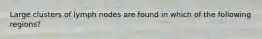 Large clusters of lymph nodes are found in which of the following regions?