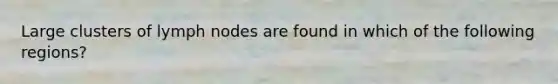 Large clusters of lymph nodes are found in which of the following regions?