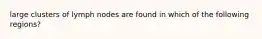 large clusters of lymph nodes are found in which of the following regions?