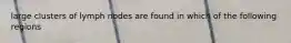 large clusters of lymph nodes are found in which of the following regions