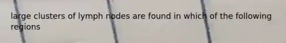 large clusters of lymph nodes are found in which of the following regions